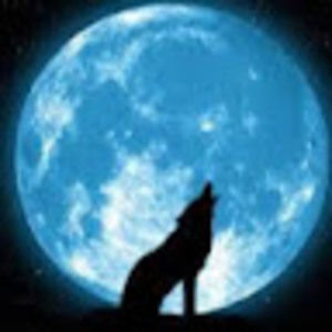 Meet your Posher, Nicholas